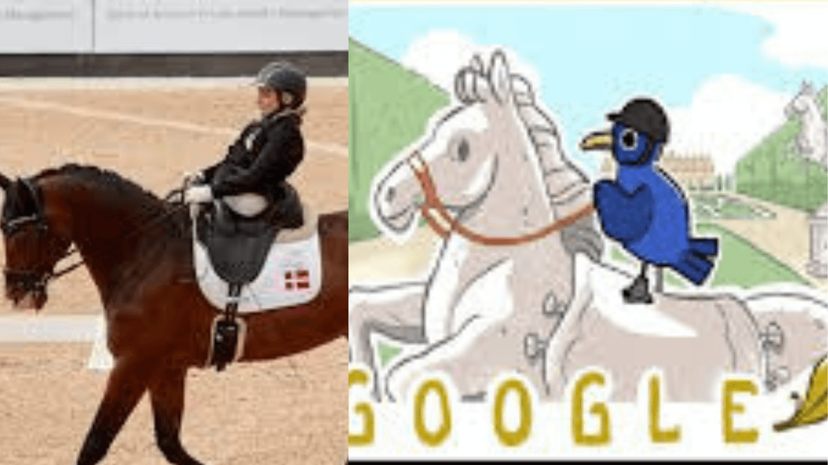 paralympic equestrian पेरिस पैरालिंपिक 2024 में घुड़सवारी स्पर्धाओं का जश्न मना रहा है Google Doodle