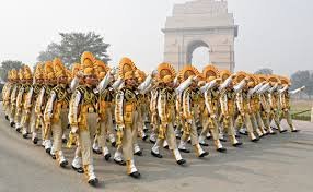 CISF : भारतीय सुरक्षा व्यवस्था का एक महत्वपूर्ण स्तंभ