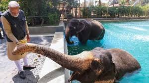 Vantara : Delhi zoo goes to Ambani दिल्ली चिड़ियाघर भी अम्बानी की झोली में